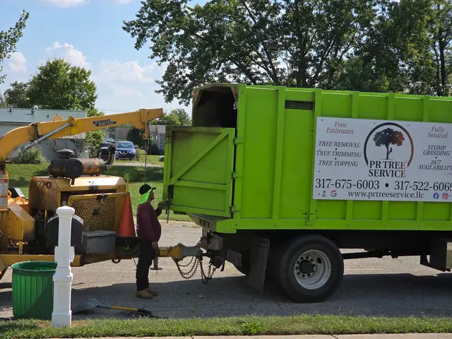 PR Tree Service — customer photo 6