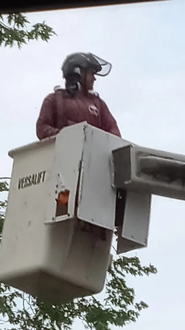 PR Tree Service — customer photo 11