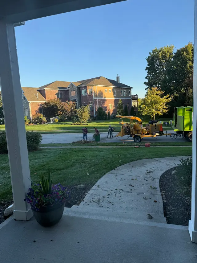 PR Tree Service — customer photo 1