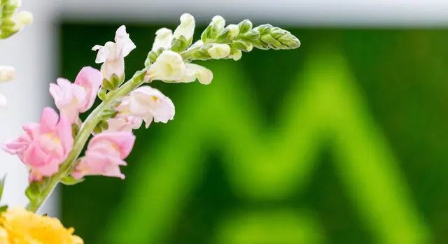 Modena Allergy + Asthma - Torrance — photo from the business 4