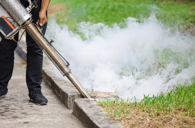 BugBros Pest Control — customer photo 12