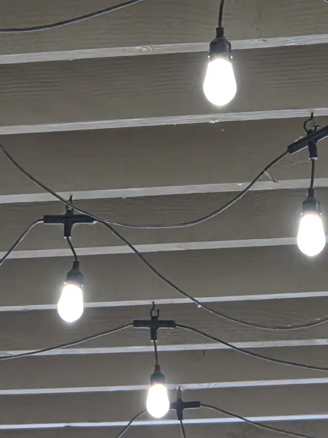Customer photo of work by BugBros Pest Control, from robert Holmes's review