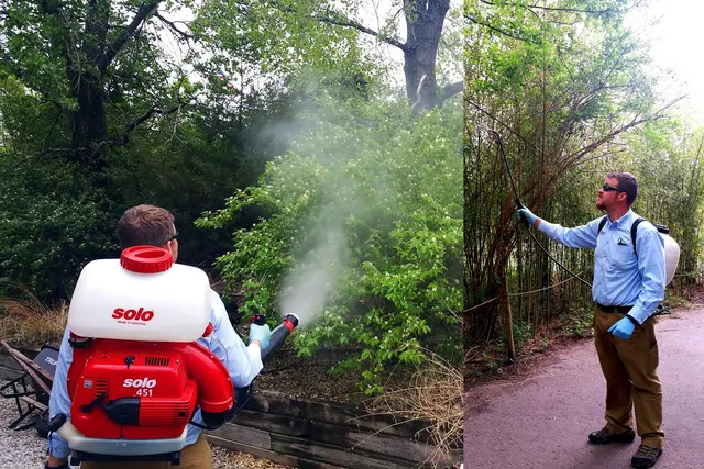 Patton Termite & Pest Control — photo from the business 12