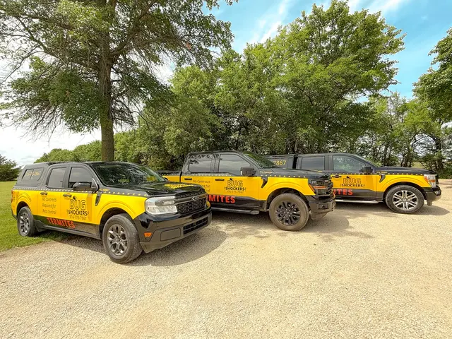 Bug Shockers — photo from the business 3