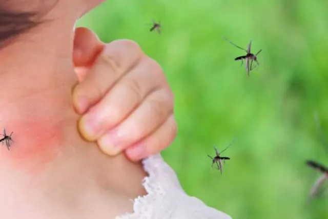 Bug Shockers — photo from the business 6