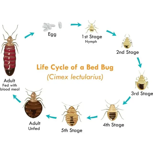 Bug Shockers — photo from the business 1