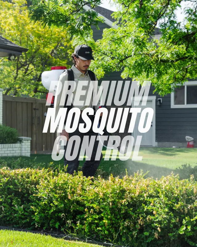 Evo Pest Control — photo from the business 4