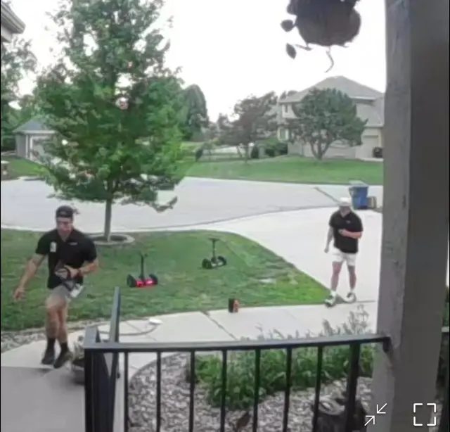 Evo Pest Control — customer photo 7