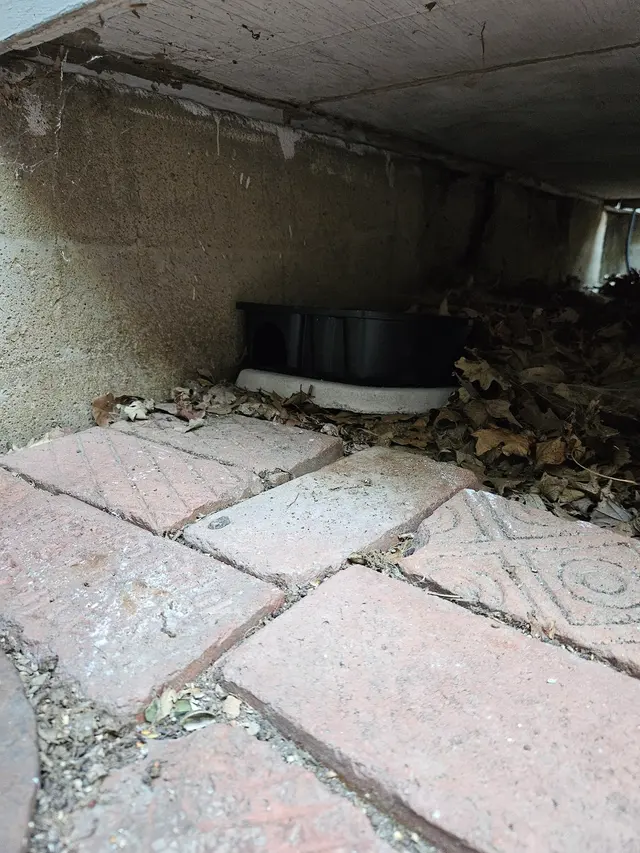 Evo Pest Control — customer photo 11