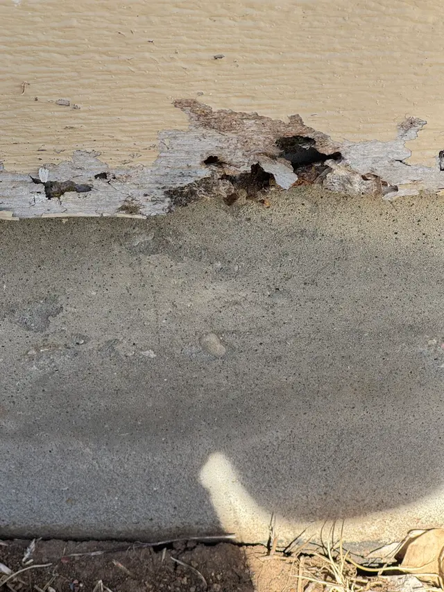 Brown Reclusinator Pest Control — photo from the business 4