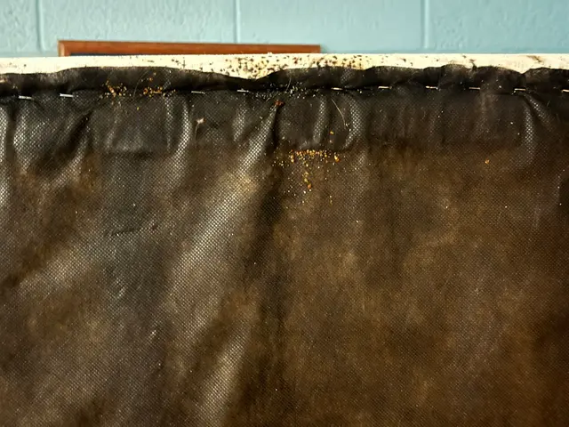 Brown Reclusinator Pest Control — photo from the business 6