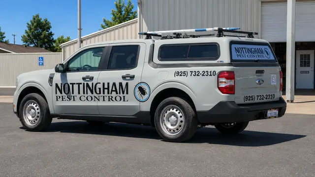 Jason's Mobile Decal,Screen Printing And Embroidery — photo from the business 8