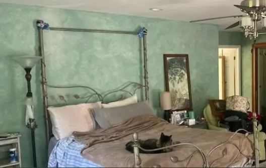 Steve G’s Painting & Paperhanging — photo from the business 10