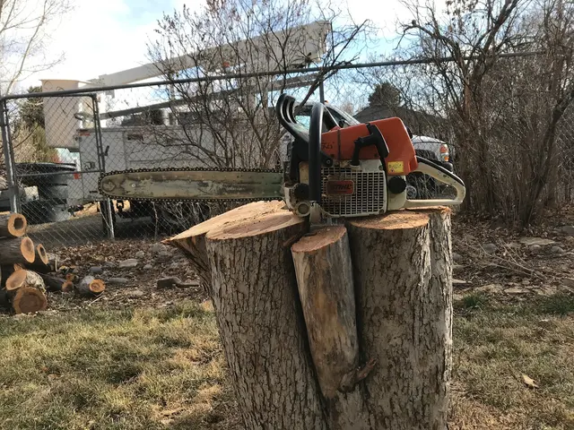 Timber Tree Service, LLC — customer photo 7