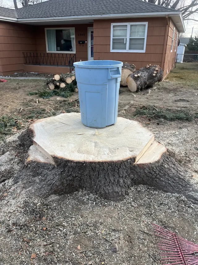 Timber Tree Service, LLC — photo from the business 4