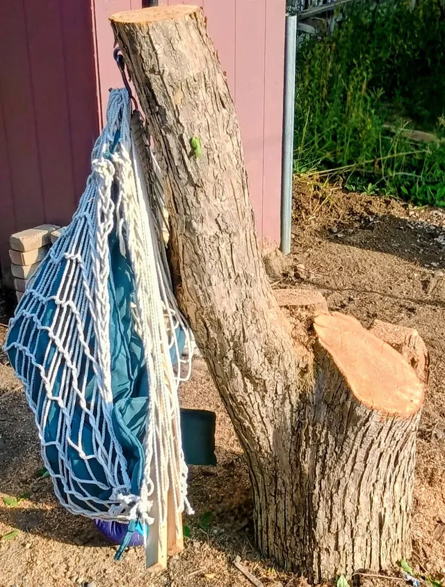 Timber Tree Service, LLC — customer photo 11