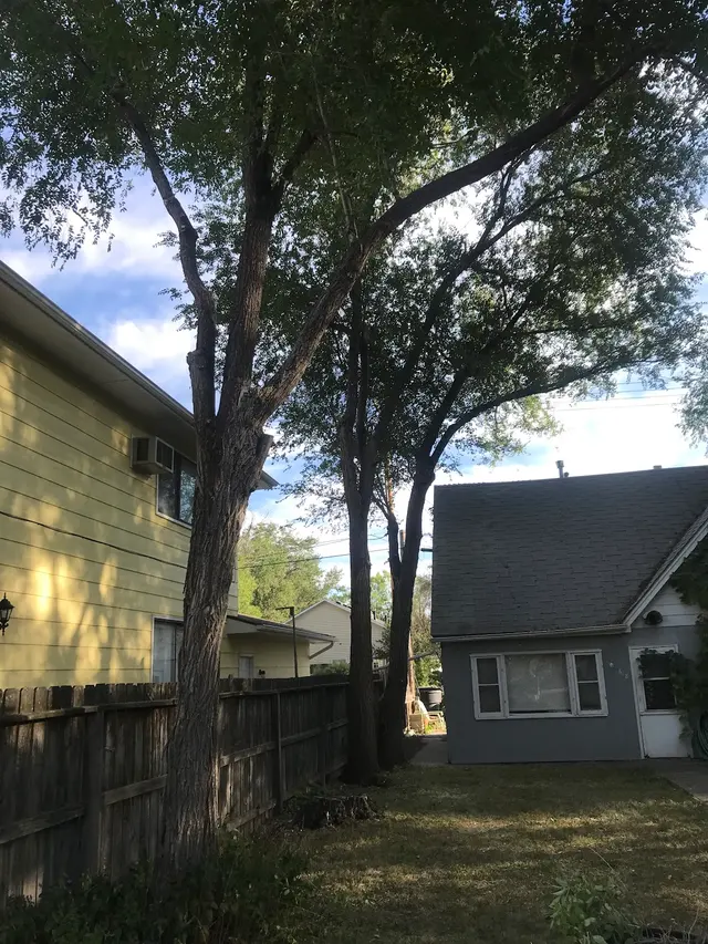 Timber Tree Service, LLC — customer photo 9
