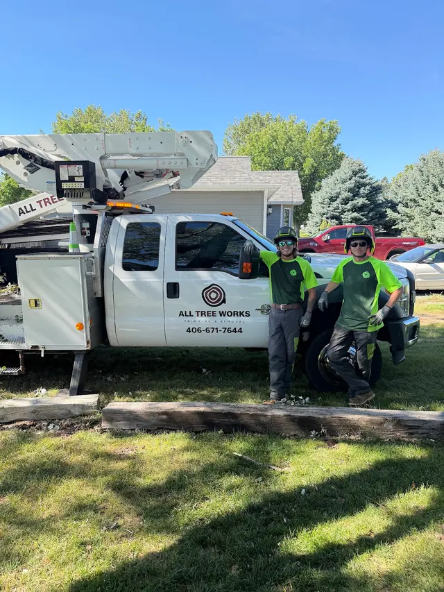 All Tree Works — customer photo 9