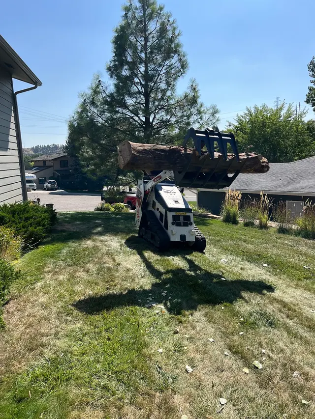 All Tree Works — photo from the business 8