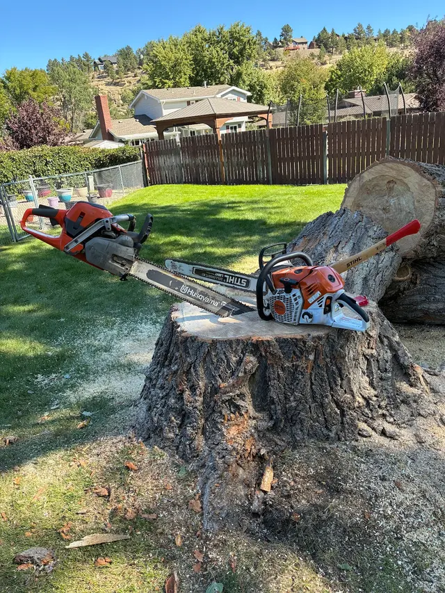 All Tree Works — photo from the business 2