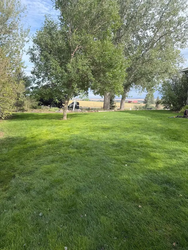 All Tree Works — photo from the business 12