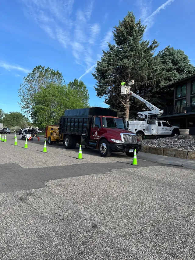 All Tree Works — photo from the business 6