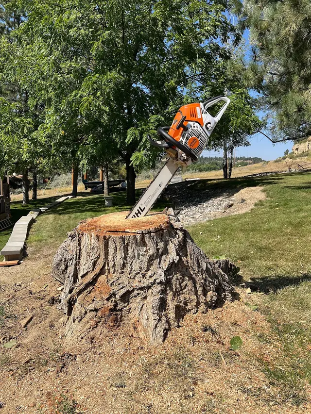 All Tree Works — photo from the business 11