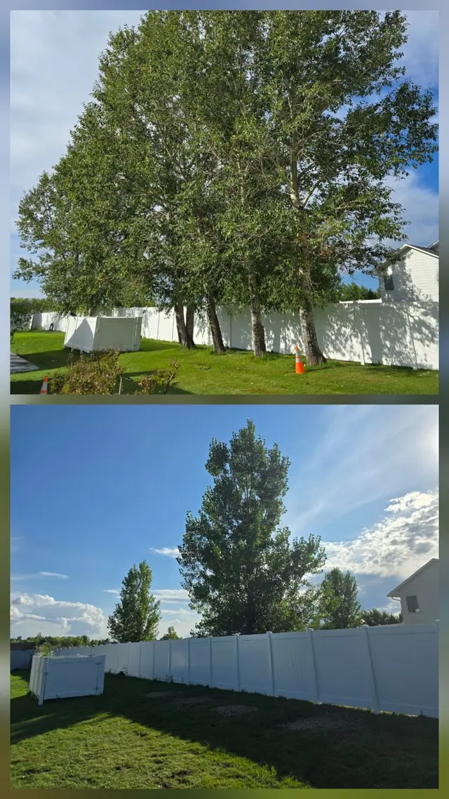 Bowen's Professional Tree Services — photo from the business 3