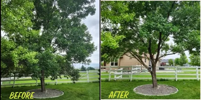 Bowen's Professional Tree Services — photo from the business 11