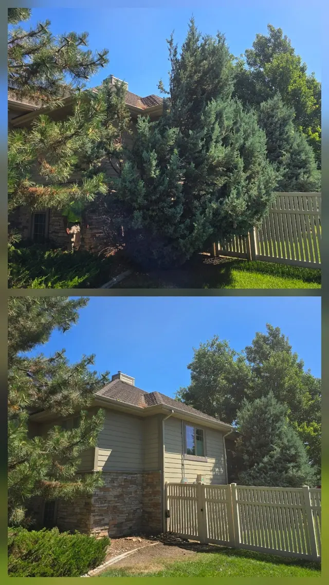 Bowen's Professional Tree Services — photo from the business 5