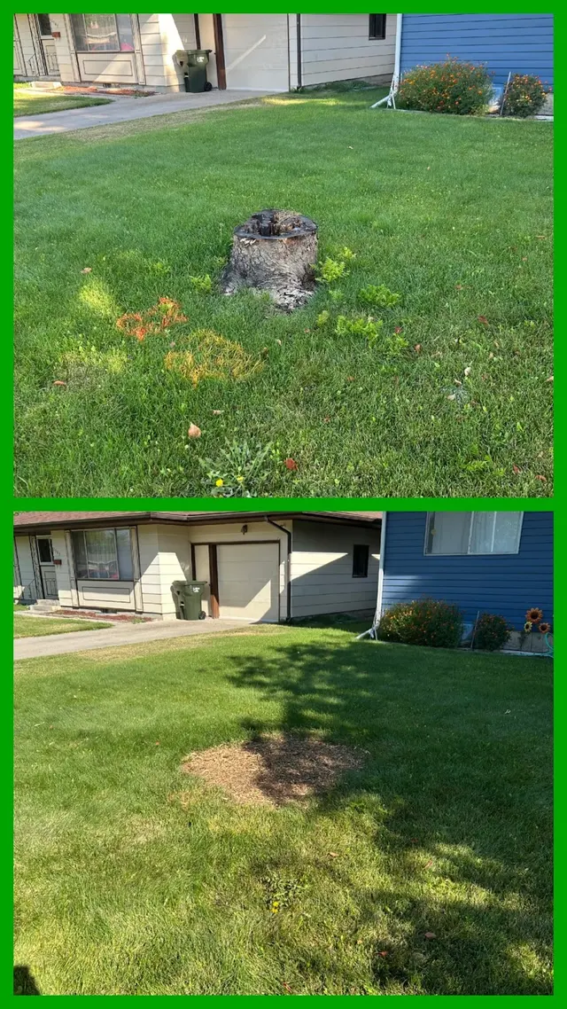 Bowen's Professional Tree Services — photo from the business 9