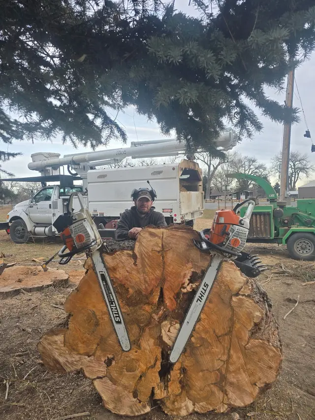Bowen's Professional Tree Services — photo from the business 4