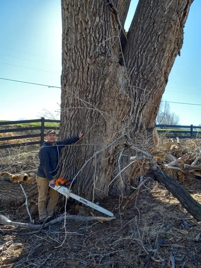 Bowen's Professional Tree Services — photo from the business 10