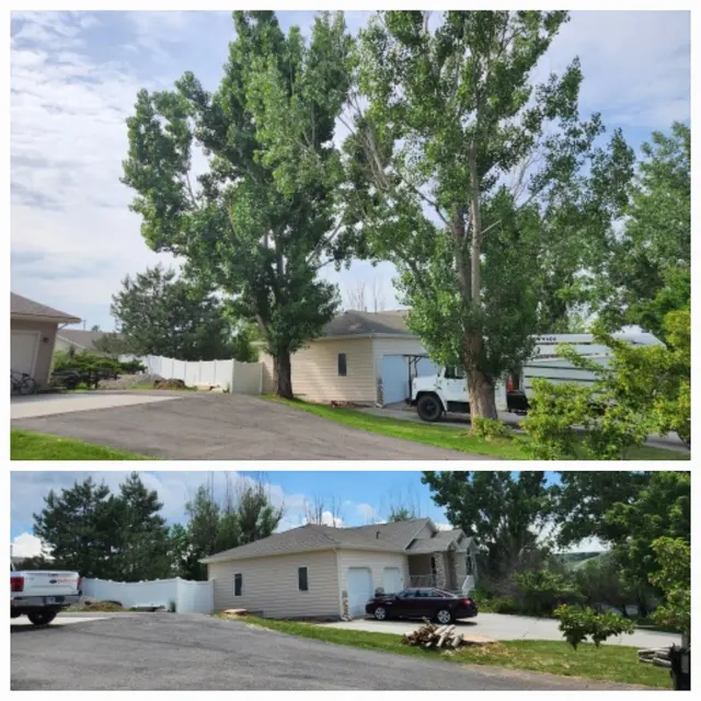 Bowen's Professional Tree Services — photo from the business 2