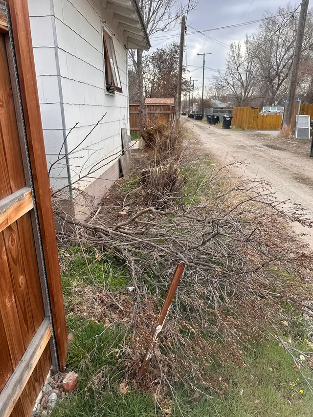 Bowen's Professional Tree Services — customer photo 7