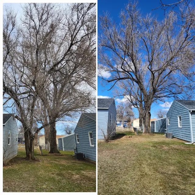 Bowen's Professional Tree Services — photo from the business 12