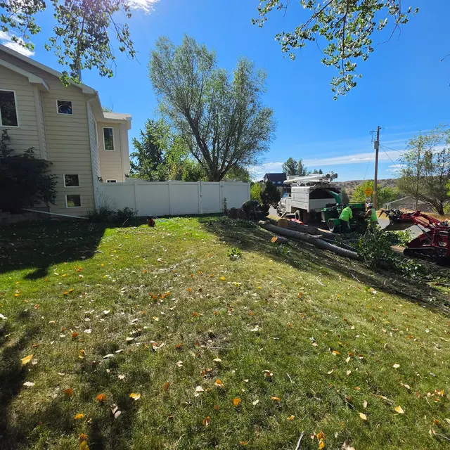Customer photo of work by Bowen's Professional Tree Services, from Ben Lyncoln's review