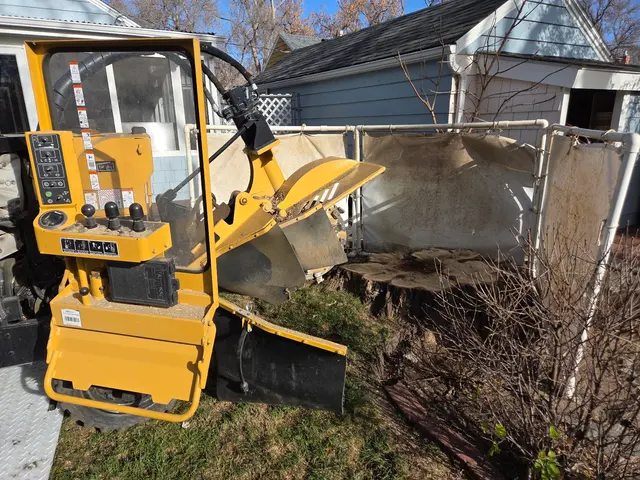 Make Like a Tree: Professional Tree Care llc. — photo from the business 6