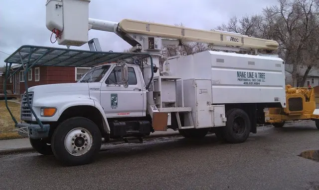 Make Like a Tree: Professional Tree Care llc. — photo from the business 1