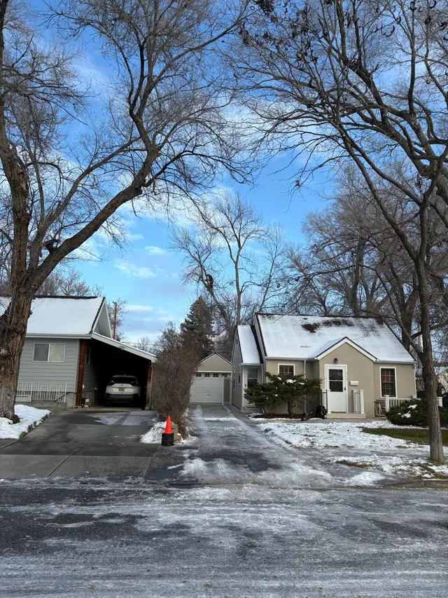 CM Tree Service and Removal — photo from the business 6