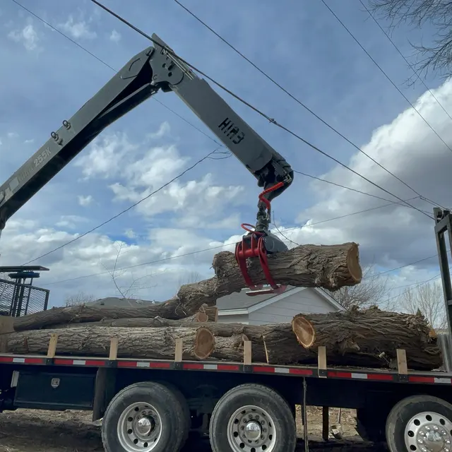 CM Tree Service and Removal — photo from the business 11