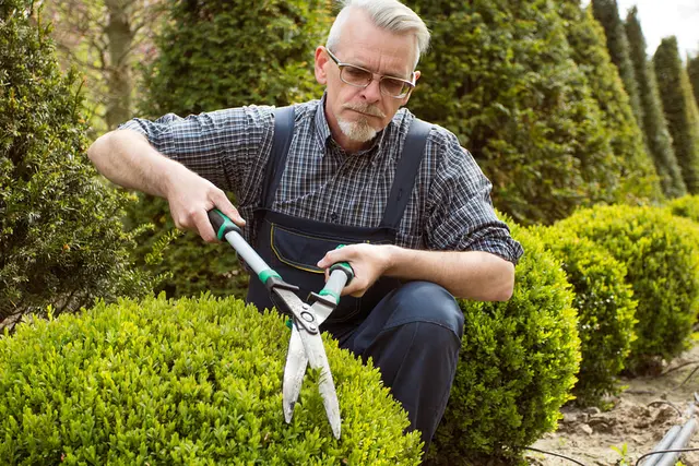 Tree Service Pros of Billings — photo from the business 10