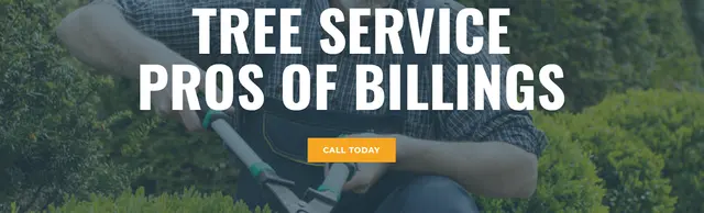 Tree Service Pros of Billings — photo from the business 1