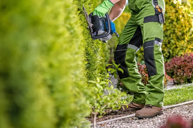 Tree Service Pros of Billings — photo from the business 3