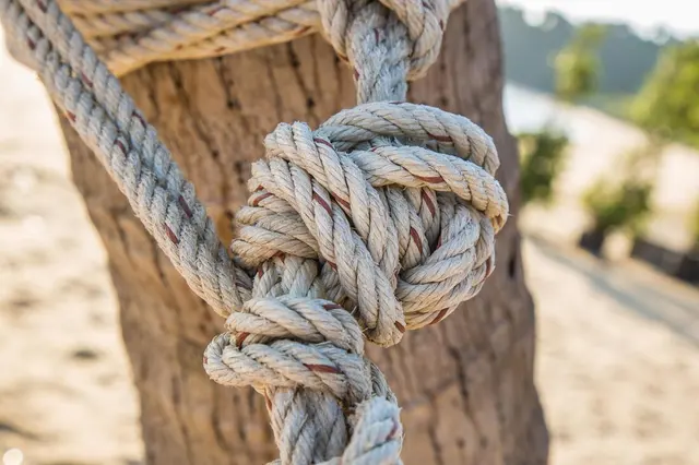 Tree Service Pros of Billings — photo from the business 9