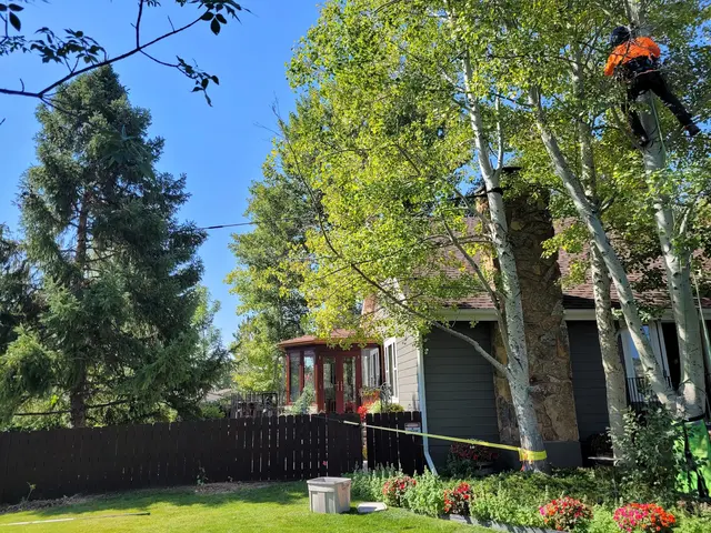 SavATree — customer photo 7