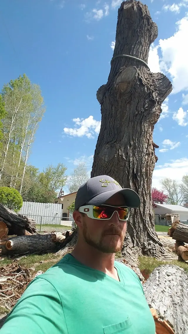 AAA Trees Done Right — customer photo 10