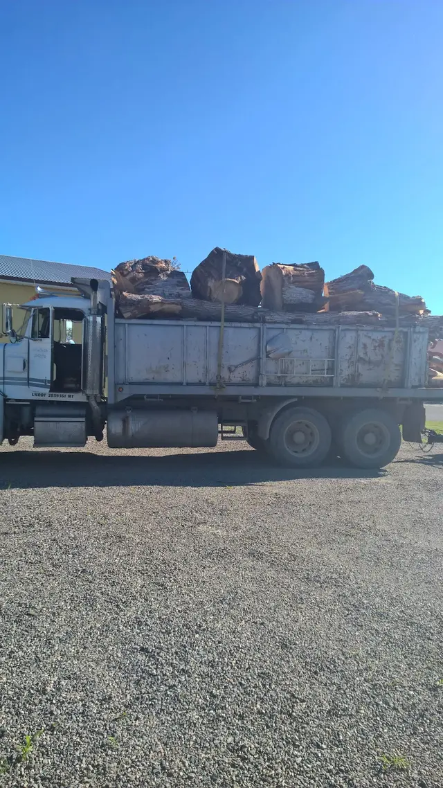 AAA Trees Done Right — customer photo 9