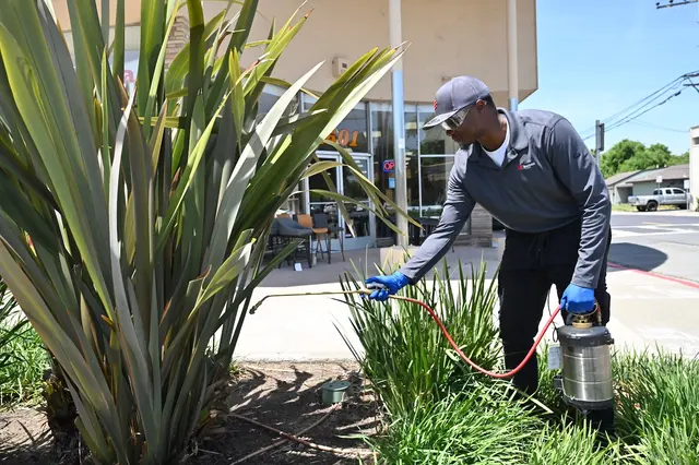 Banner Pest Services — photo from the business 6