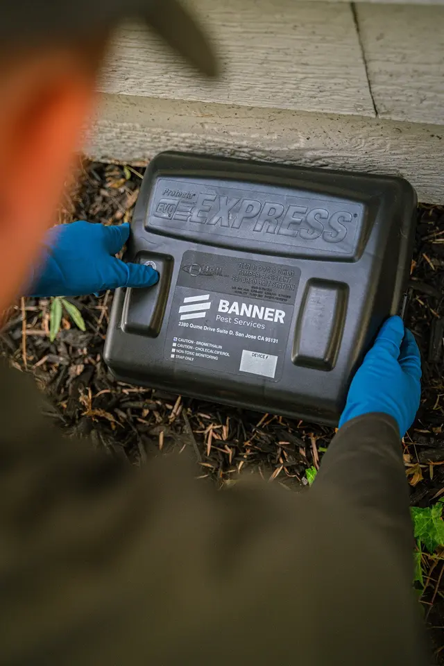 Banner Pest Services — photo from the business 7